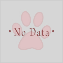 No Data